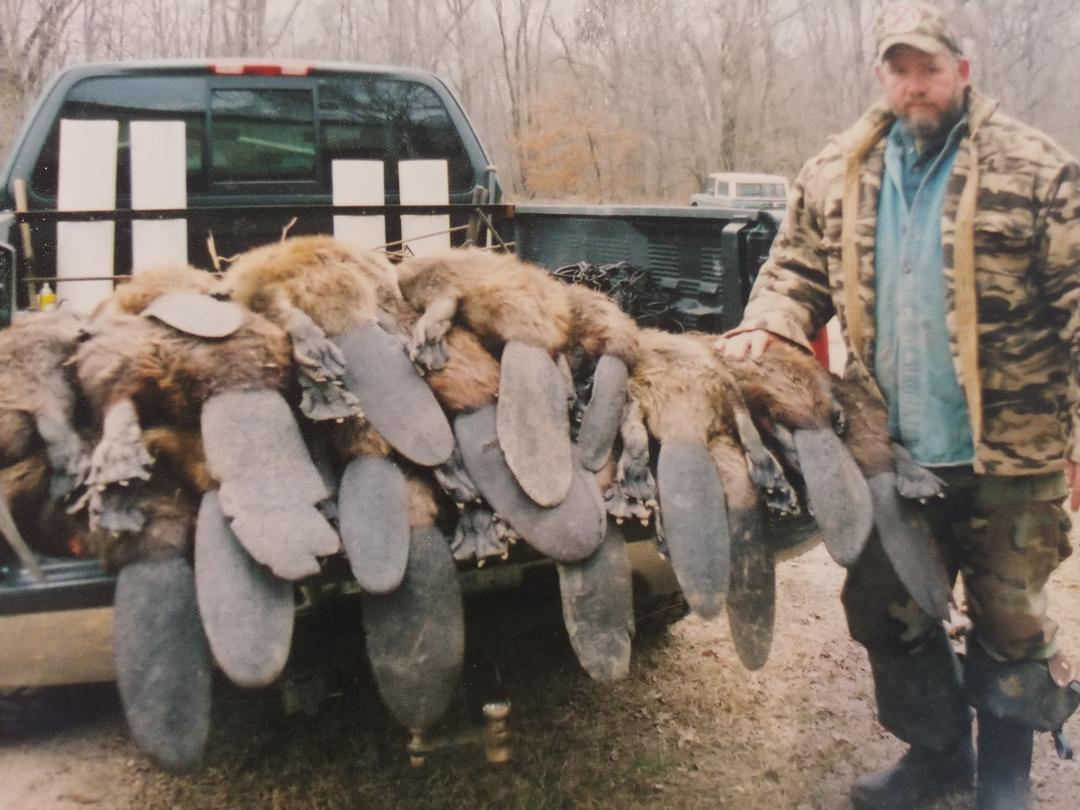 DELTA RED, beaver lure is the king of trapping beaver fast any