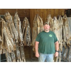 SIMPLY MICE, coyote, bobcat and fox lure/bait