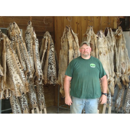 SIMPLY MICE, coyote, bobcat and fox lure/bait is a high production natural  scent all predators crave