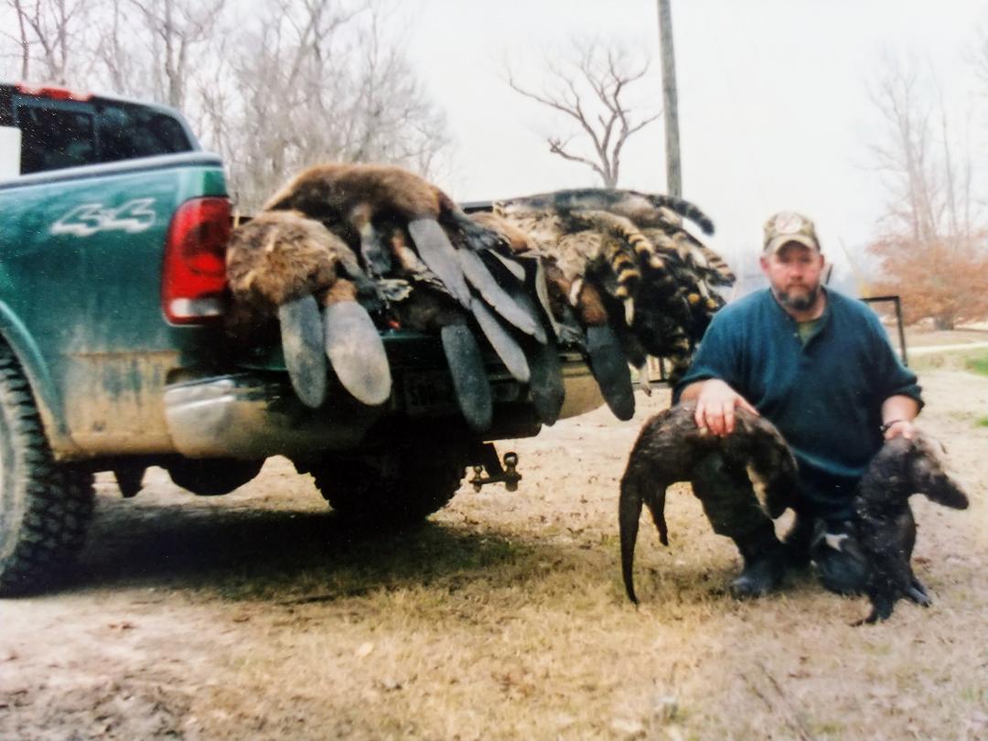 DAMAGE COMPLAINT, beaver food lure that is a great beaver lure for the last  hard to catch beaver while trapping