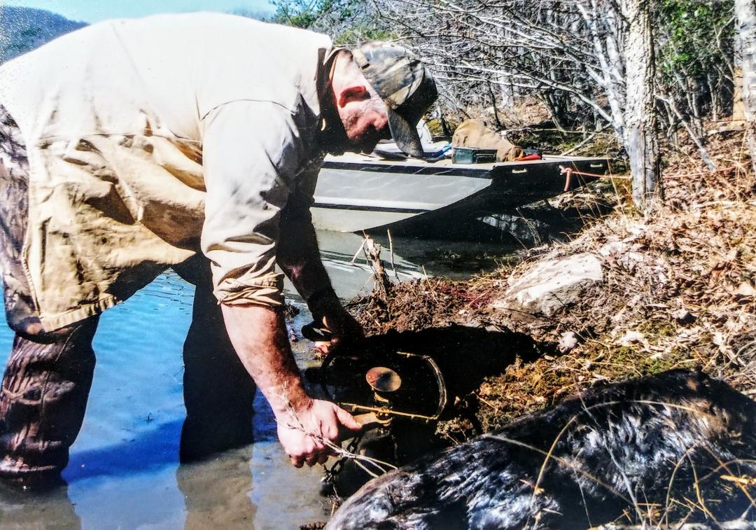 FLAT TAIL CALL, beaver lure is one of my favorite beaver lures, works year  round, small amount of castor but several plant oil's beaver crave